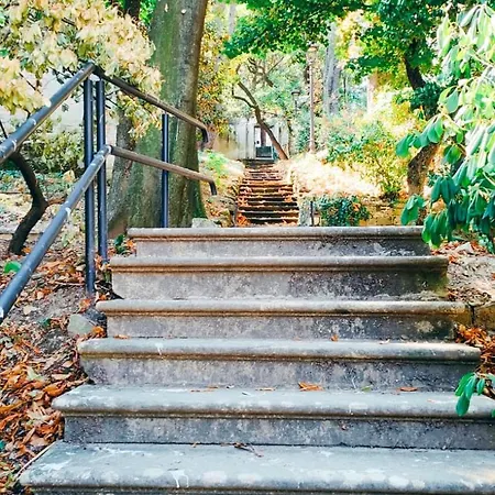 Apartamento Galleria 16 *